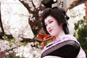 桜と舞妓で百花繚乱！女撮り鉄の京都ひとり旅【後編】